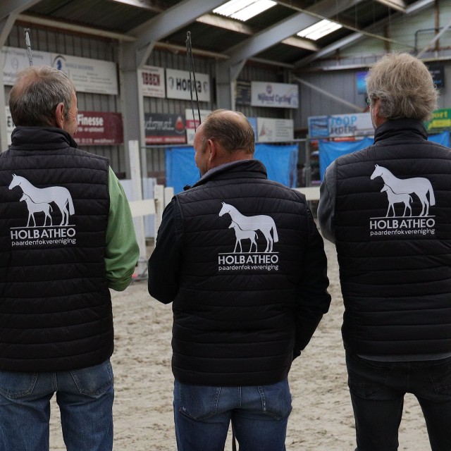 Wedstrijd Vrijspringen