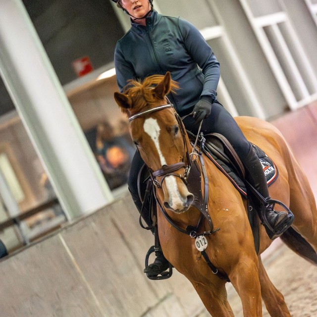 Jonge paarden opleiding - Springen