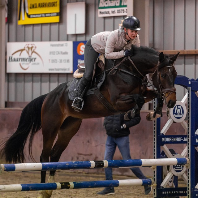 Morrenhof Jansen Jonge Paardenopleiding