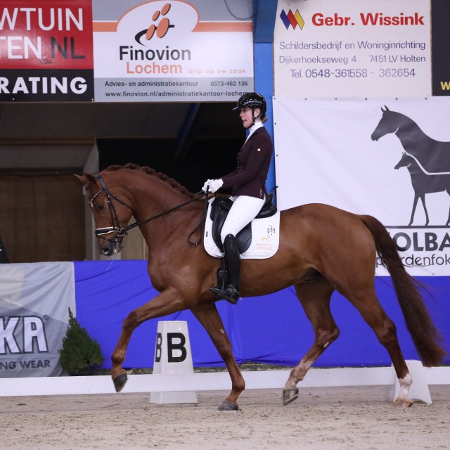 Horsefood Dressuur Talent